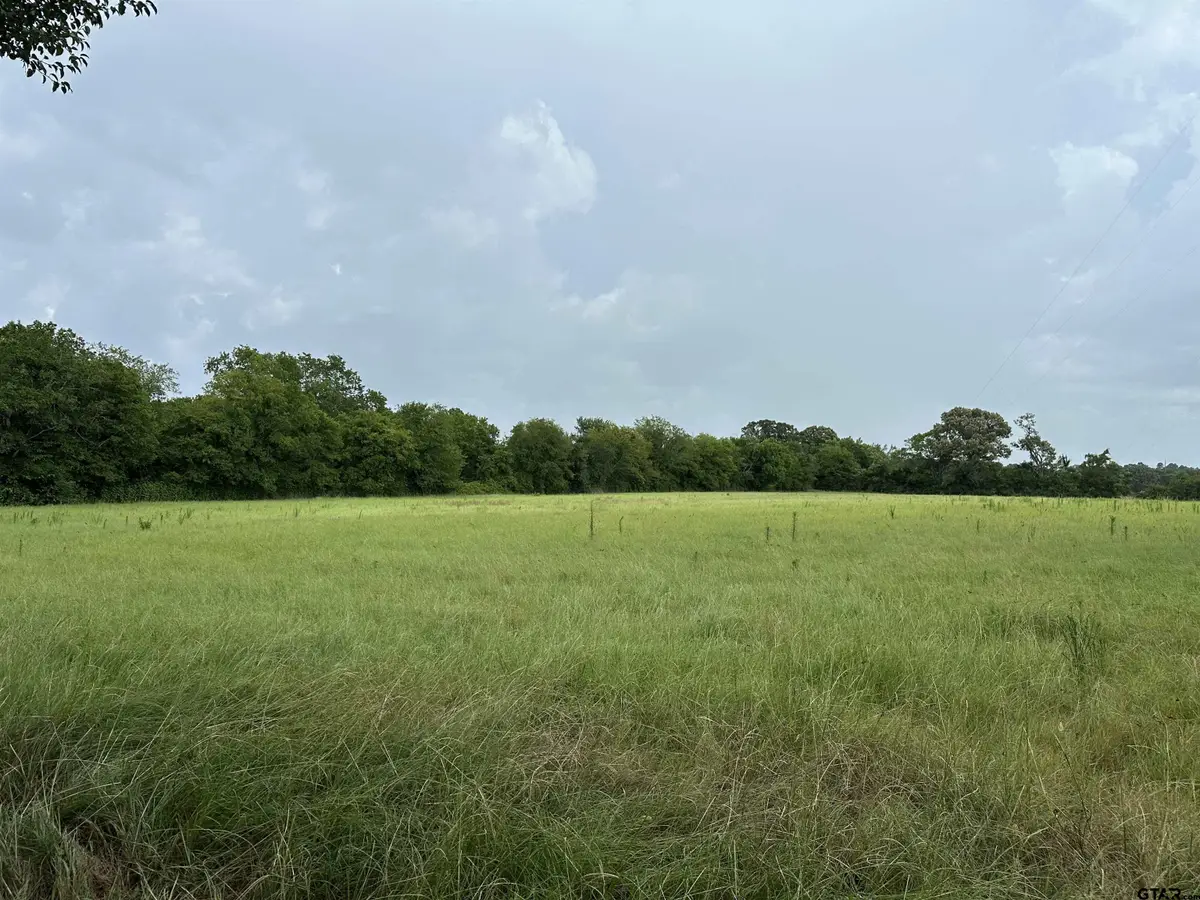 3697 An County Road 309 Tract 1, Frankston, TX 75763 - #1