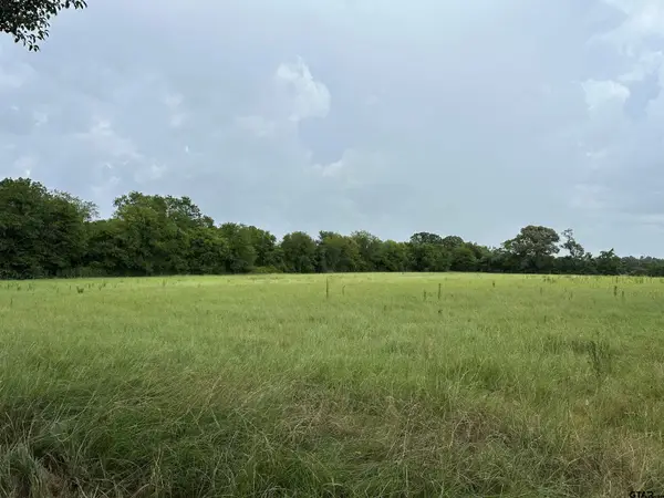 3697 An County Road 309 Tract 2 B North Tract, Frankston, TX 75763