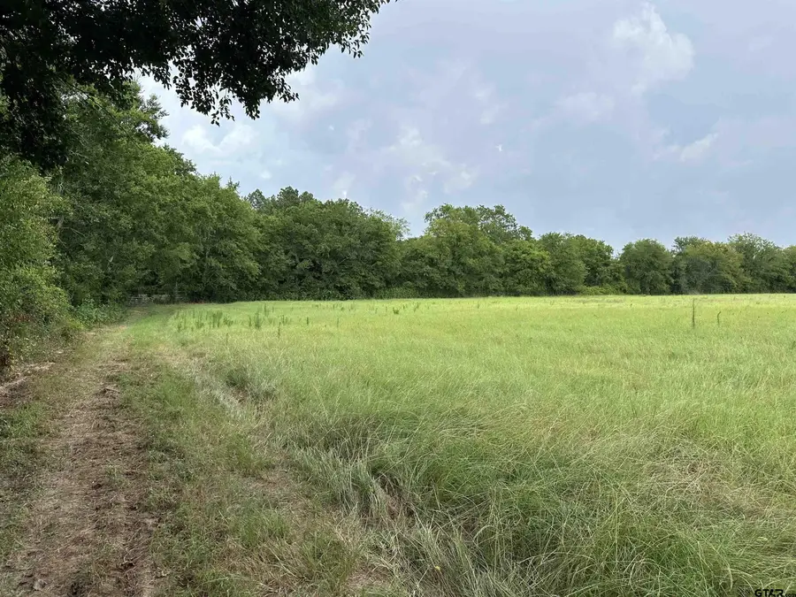 3697 An County Road 309 Tract 2 A South Tract, Frankston, TX 75763 - #2