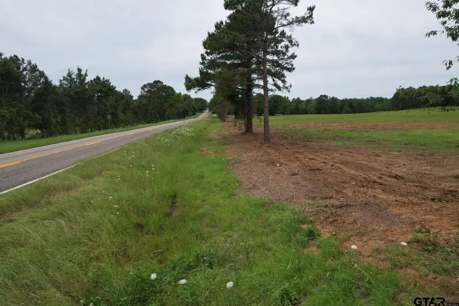 TBD-C FM 2867, Henderson, TX 75654 - #3