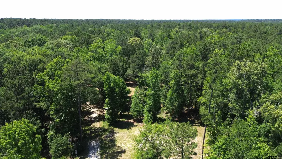 345 CR 1080, Kennard, TX 75847 - #3