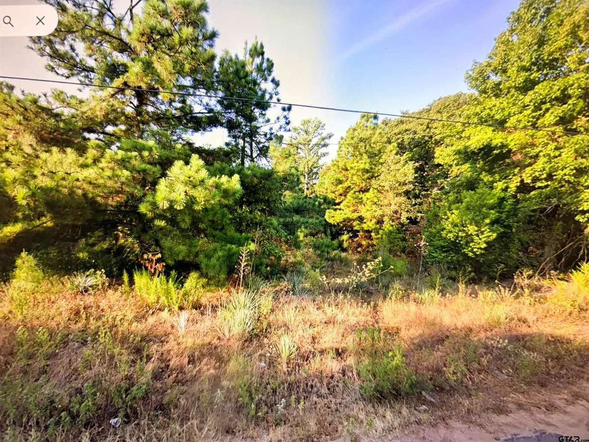 0 Mallory St, Lindale, TX 75771 - #1