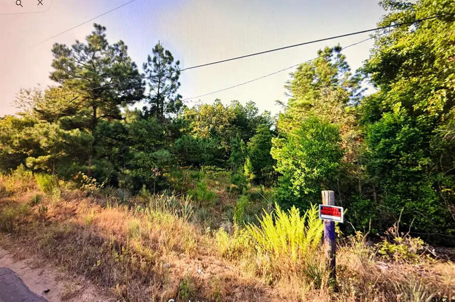 0 Mallory St, Lindale, TX 75771 - #3