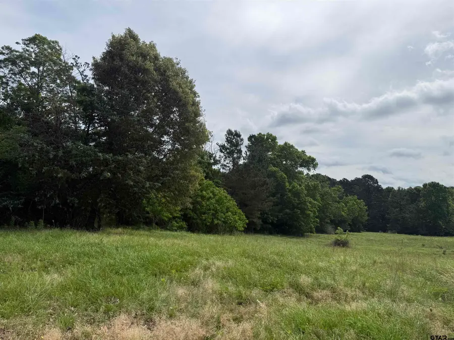TBD CR 1404 -60.30 acres, Jacksonville, TX 75766 - #3
