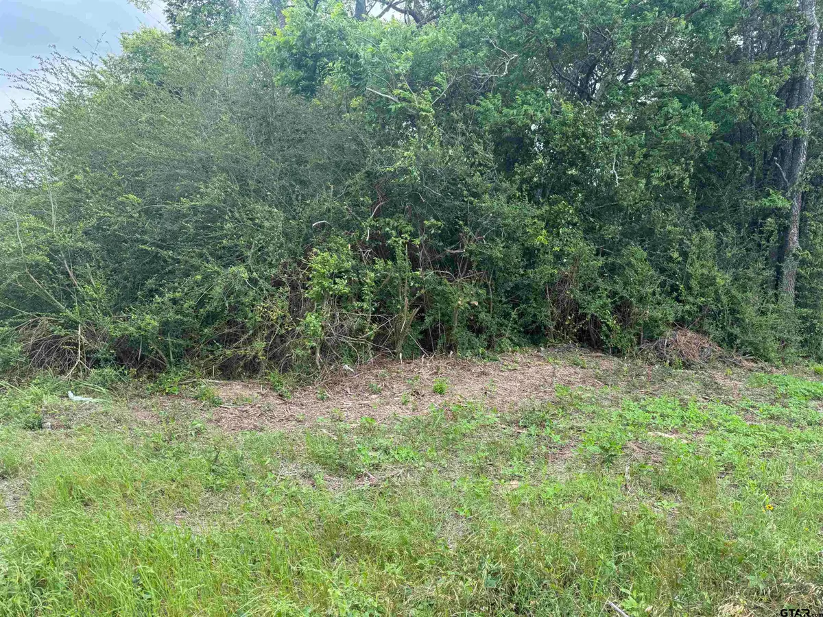 TBD FM 347 - 108 acres, Jacksonville, TX 75766 - #1