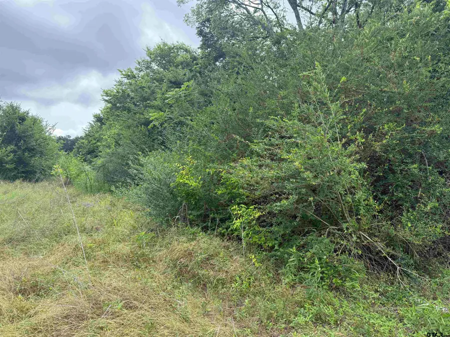 TBD FM 347 - 108 acres, Jacksonville, TX 75766 - #2