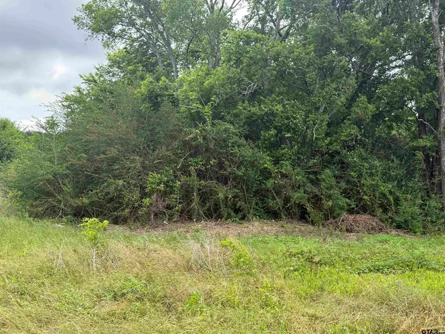 TBD FM 347 - 108 acres, Jacksonville, TX 75766 - #3