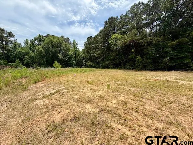 14973 Turtle Creek Ranch Road, Flint, TX 75762 - #3