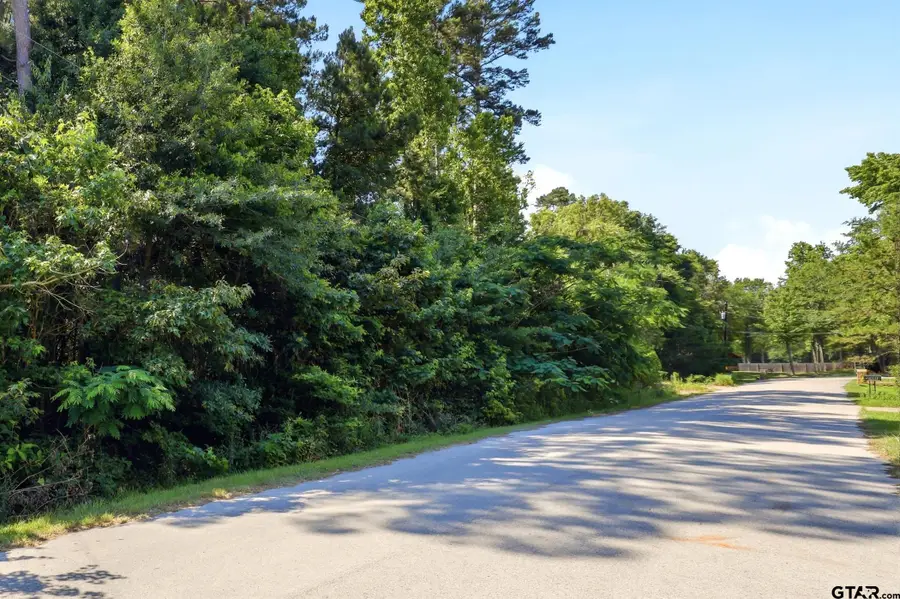 14065 Creekview Trl, Tyler, TX 75707 - #2