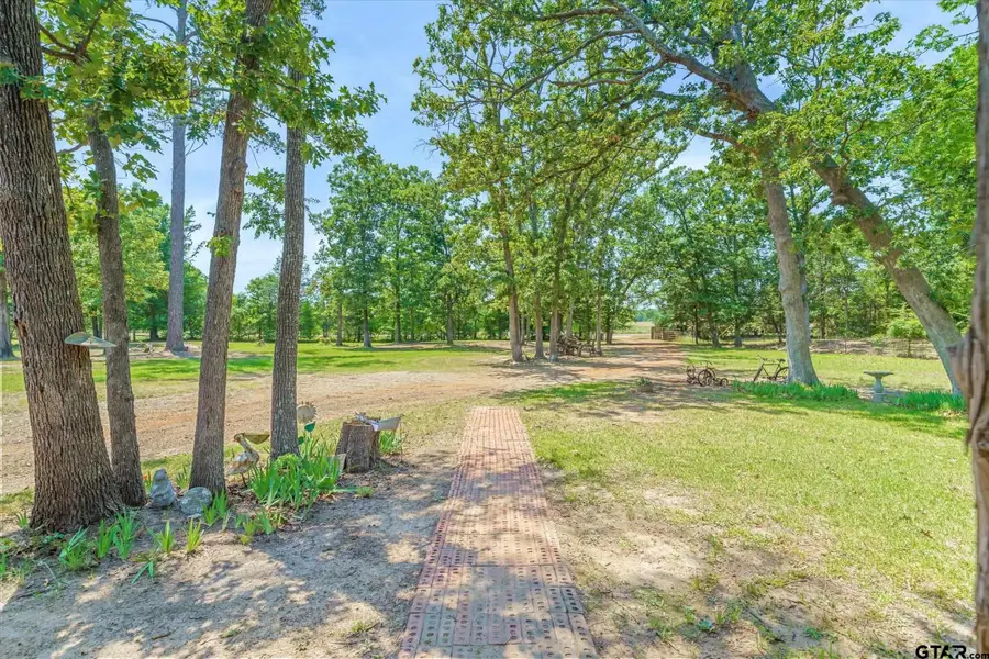 7611 Farm Market Road 314, Ben Wheeler, TX 75754 - #3