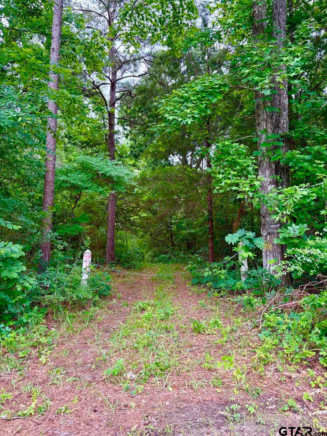 TBD County Road 4504, Jacksonville, TX 75766 - #1