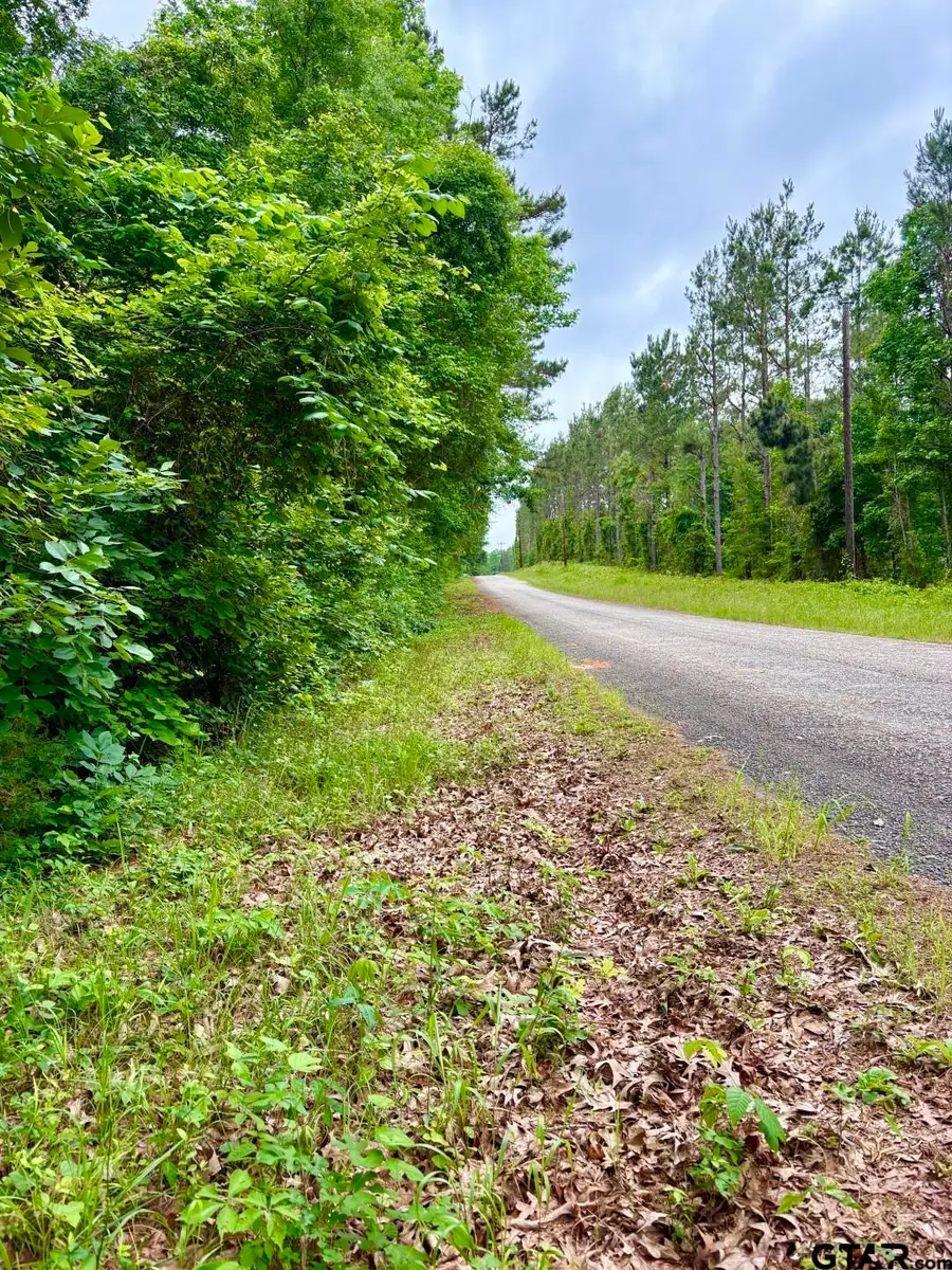 TBD County Road 4504, Jacksonville, TX 75766 - #2