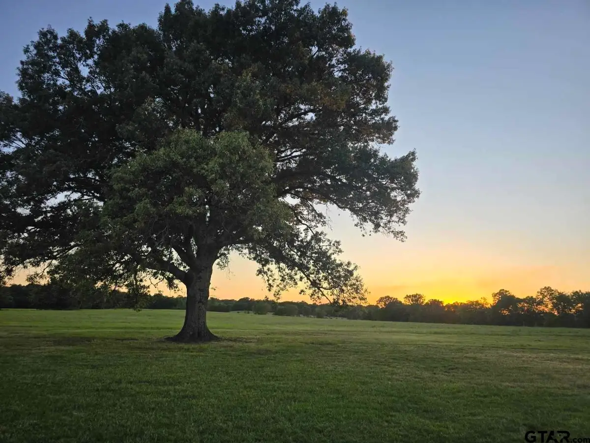 TBD Cr 4509, Ben Wheeler, TX 75754 - #1