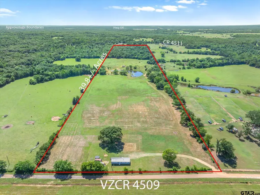 TBD Cr 4509, Ben Wheeler, TX 75754 - #2