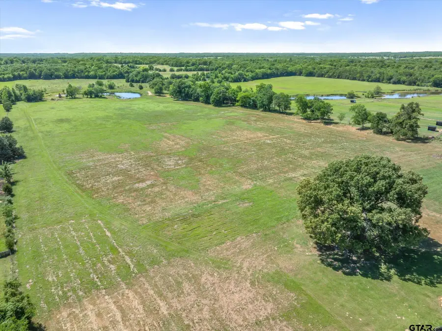 TBD Cr 4509, Ben Wheeler, TX 75754 - #3