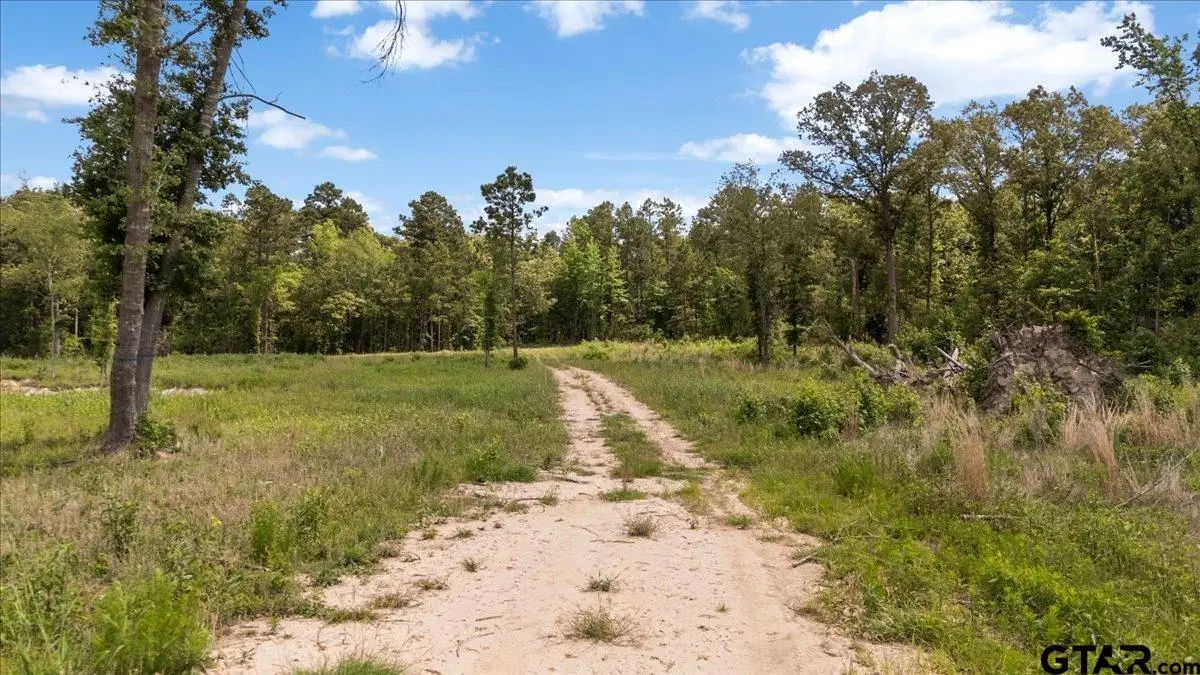 630 County Road 3953, Hawkins, TX 75765 - #1