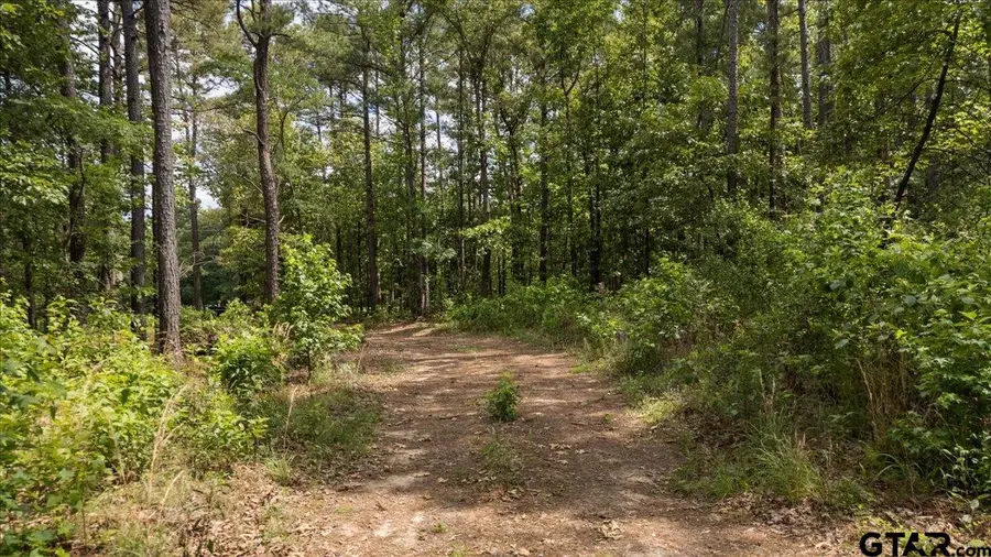 630 County Road 3953, Hawkins, TX 75765 - #2