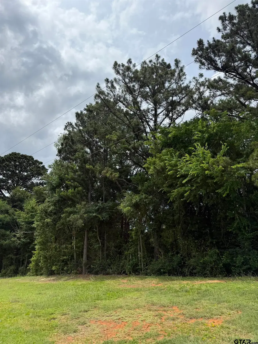 TBA HWY 155, Palestine, TX 75803 - #2