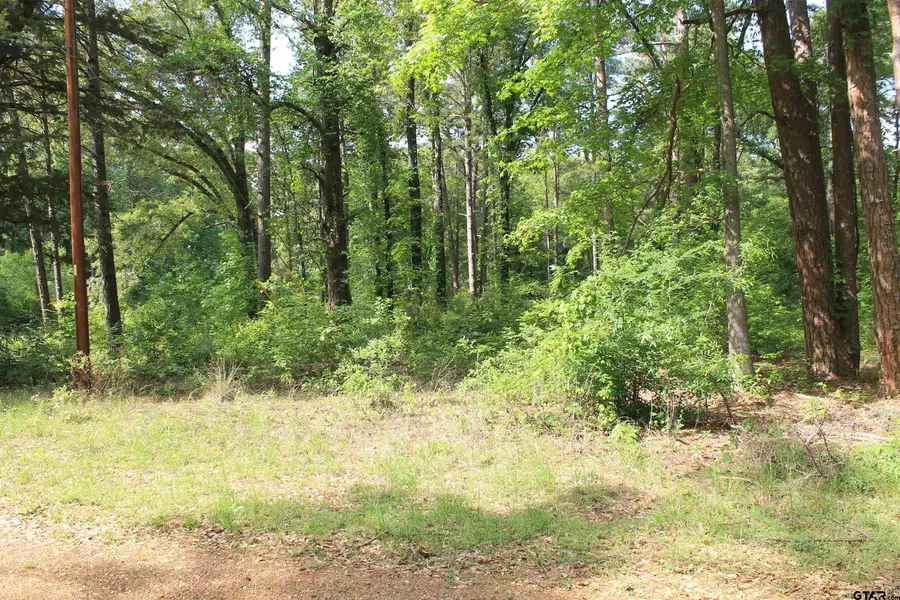 114 Cedar Ct, Bullard, TX 75757 - #3