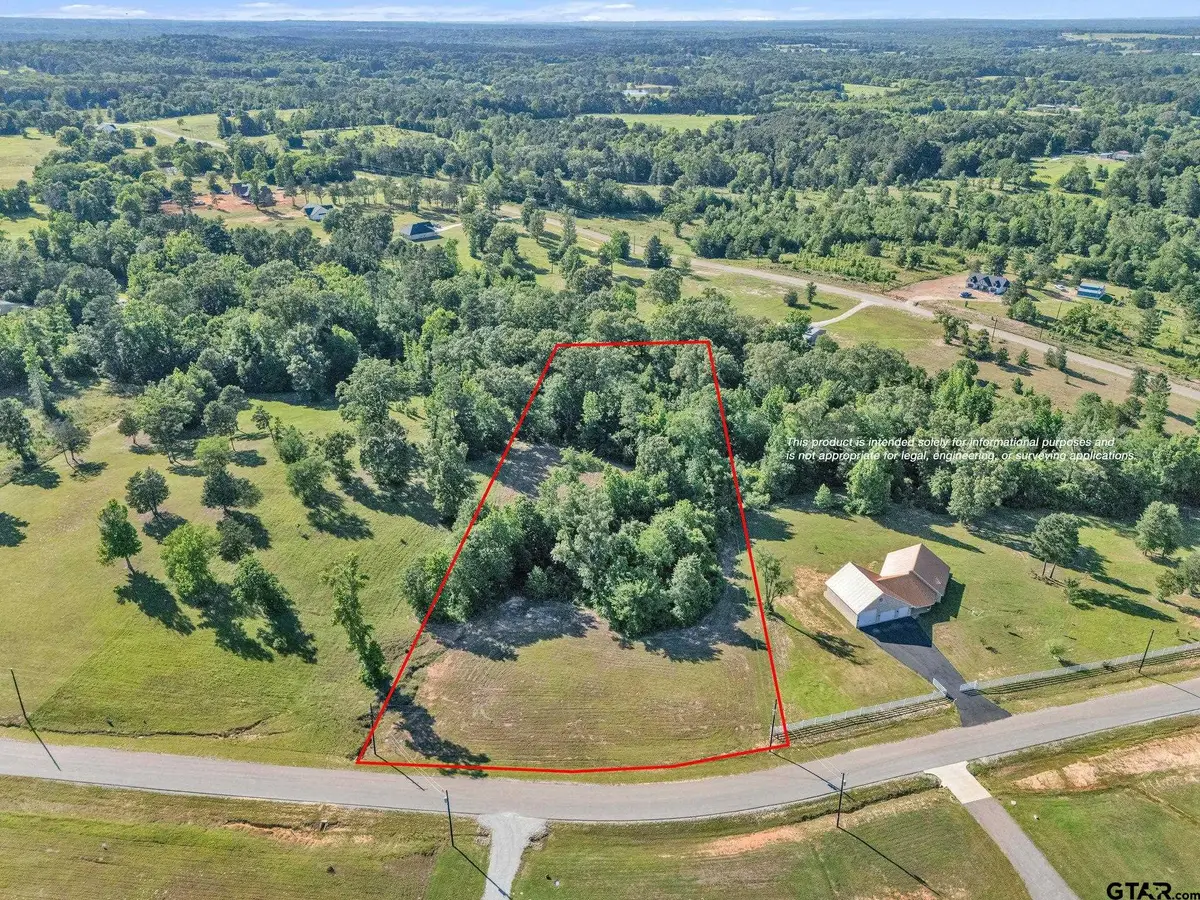 16808 Ridgeline Loop, Winona, TX 75792 - #1