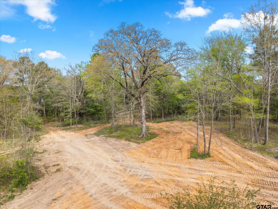 TBD Woodchuck Rd, Pittsburg, TX 75686 - #3