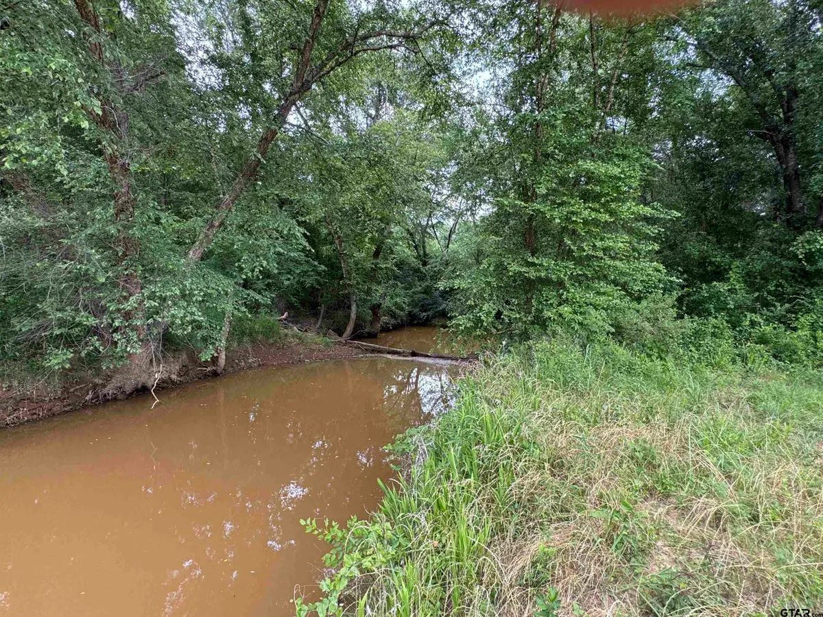 TBD Hwy 259, Diana, TX 75640 - #1