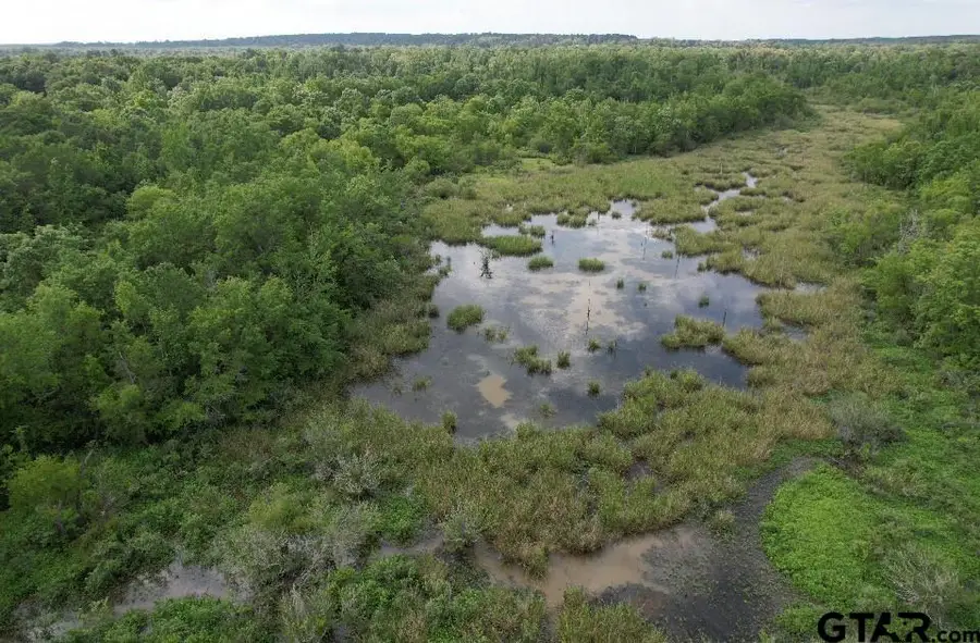 TBD Hwy 259, Diana, TX 75640 - #2