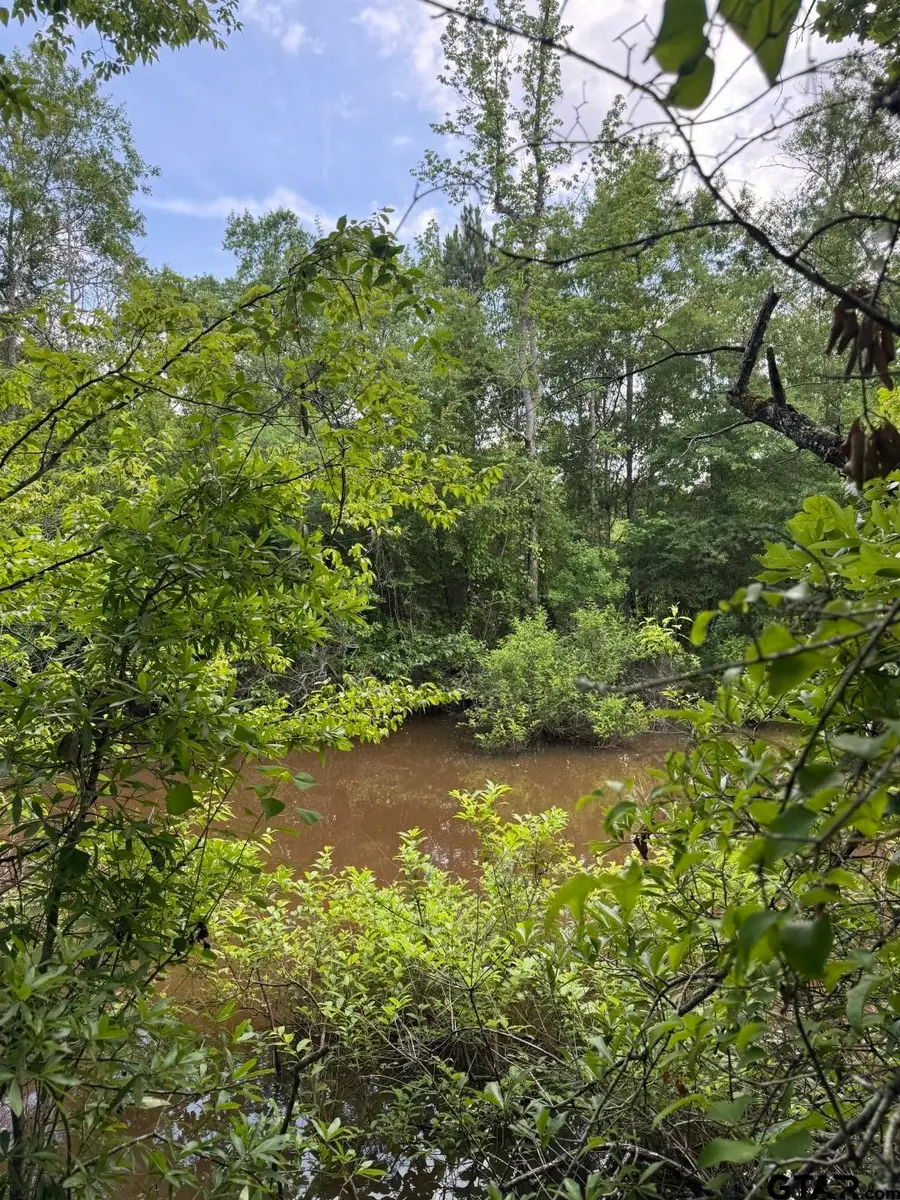 TBD Hwy 259, Diana, TX 75640 - #3