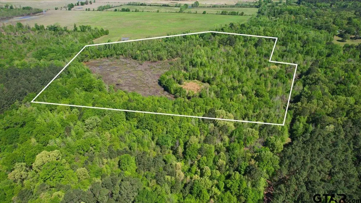 TBD Cr 1143, Daingerfield, TX 75638 - #1