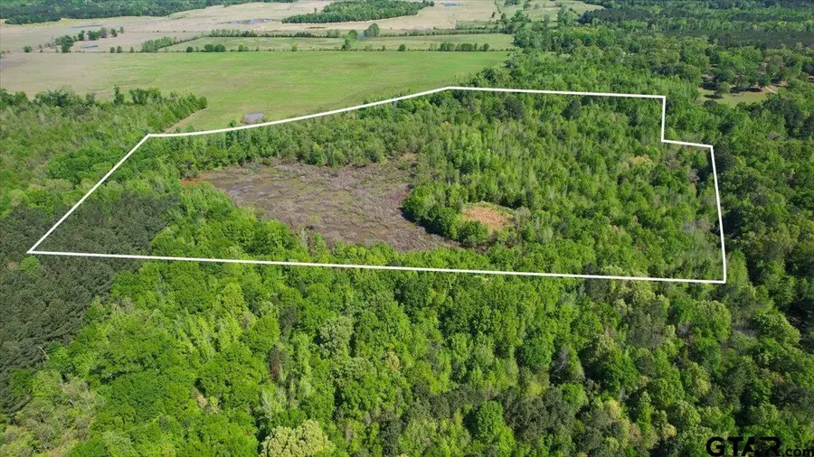 TBD Cr 1143, Daingerfield, TX 75638 - #2