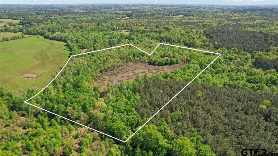 TBD Cr 1143, Daingerfield, TX 75638 - #3