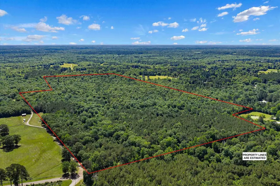 TBD CR 3361, De Berry, TX 75639 - #3