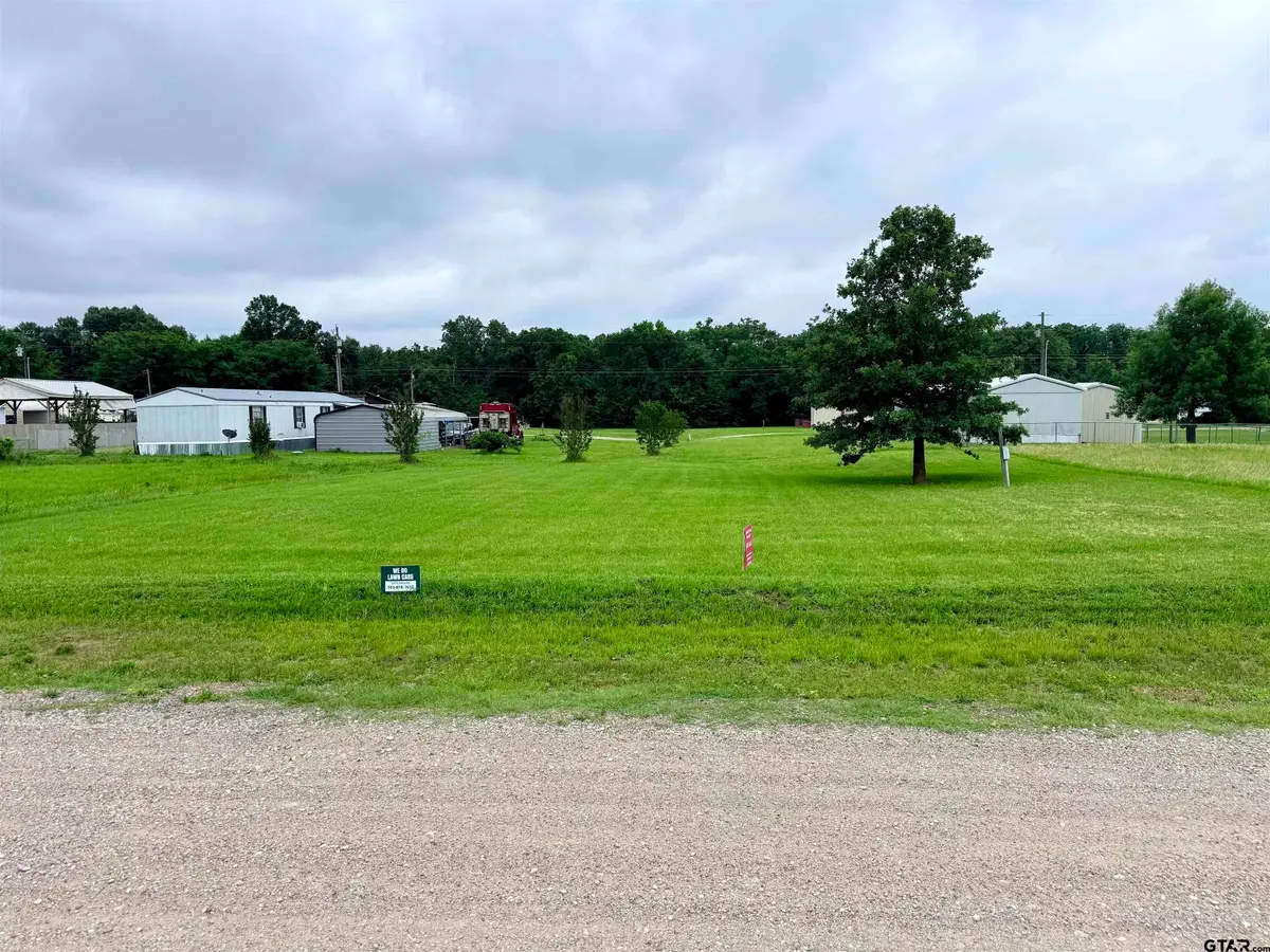 0000 HOLIDAY VILLAGE DR LOTS 98 & 99, Quitman, TX 75783 - #1