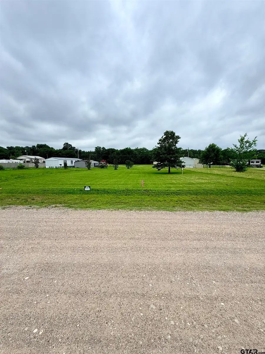 0000 HOLIDAY VILLAGE DR LOTS 98 & 99, Quitman, TX 75783 - #3
