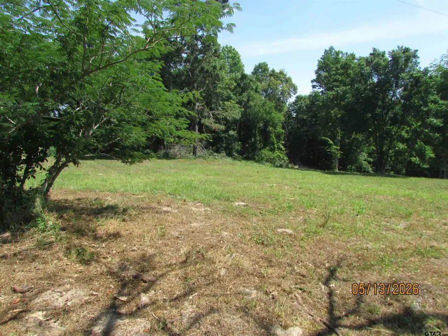9491 PLEASANT RIDGE RD, Frankston, TX 75763 - #2