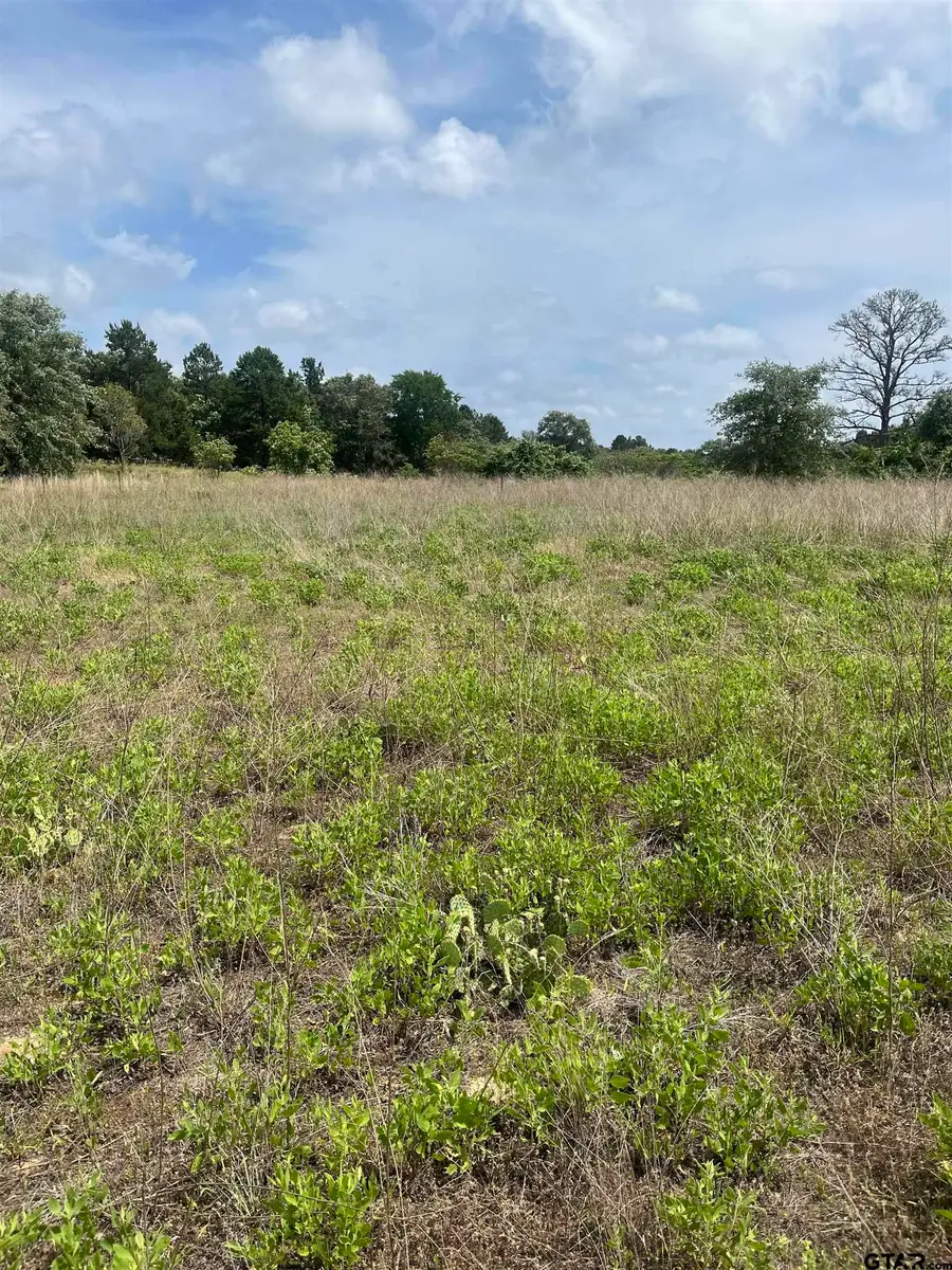 9491 PLEASANT RIDGE RD, Frankston, TX 75763 - #3