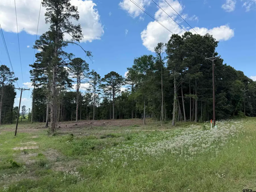 1290 County Road 3210, Jacksonville, TX 75766 - #3