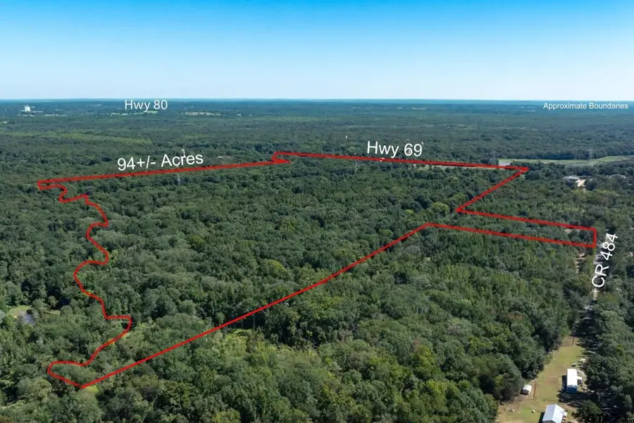 00 Hwy 69 / CR 484, Mineola, TX 75773 - #3