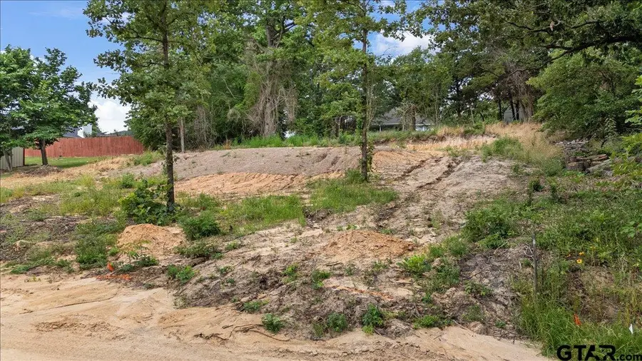 224 County Road 2267, Mineola, TX 75773 - #3