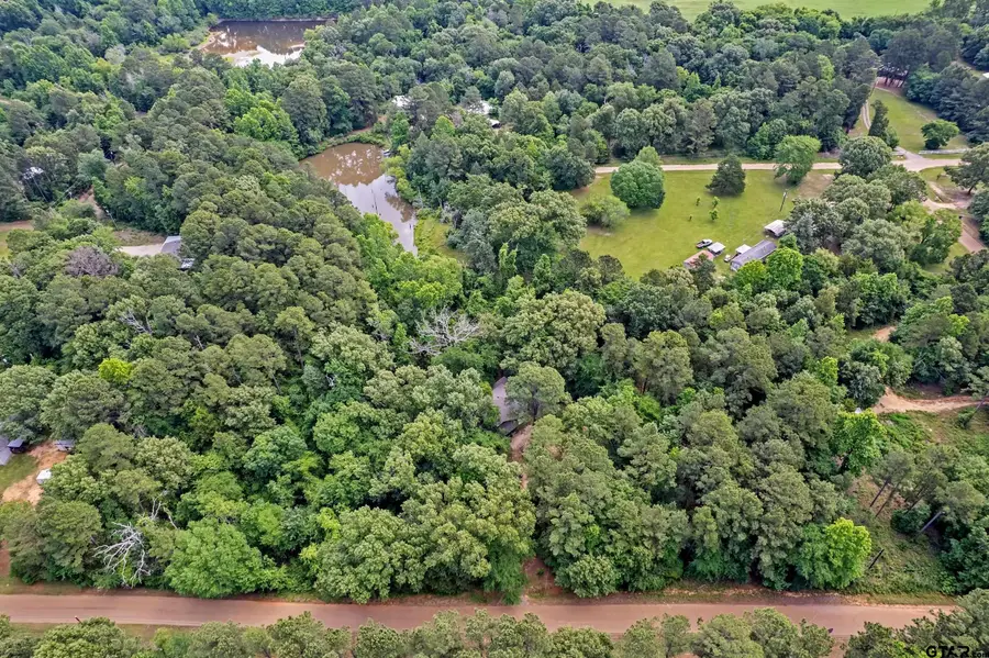 9050 County Road 3410, Brownsboro, TX 75756 - #3