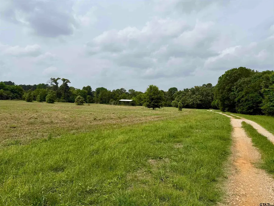 0000 Private Road 7407, Brownsboro, TX 75756 - #2