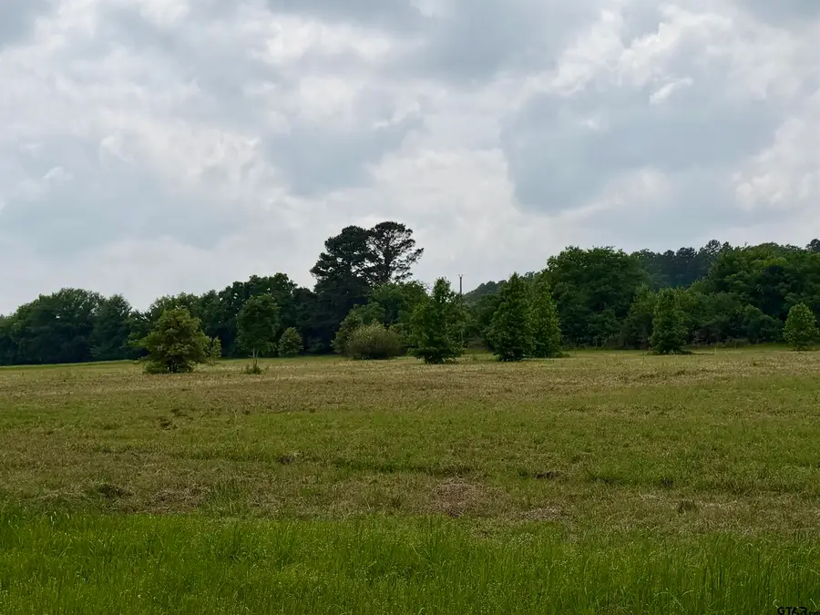 0000 Private Road 7407, Brownsboro, TX 75756 - #3