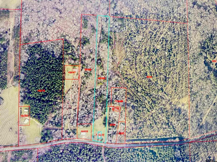 2777 FM 249, Queen City, TX 75572 - #3