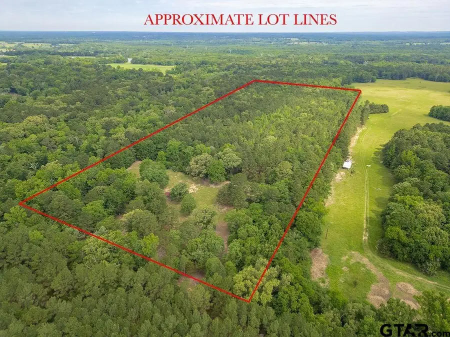 13130 County Road 4124, Lindale, TX 75771 - #3