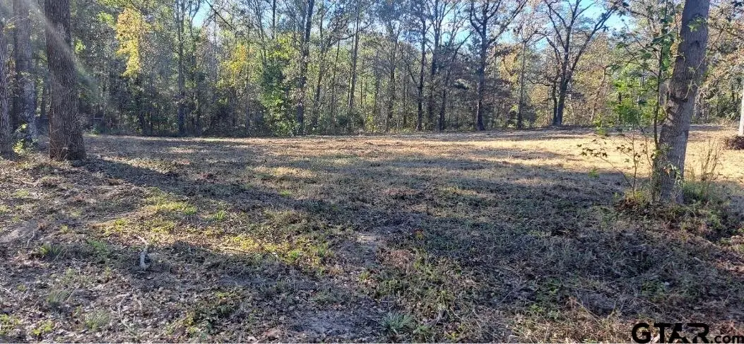 20528 CR 4147, Lindale, TX 75771 - #1