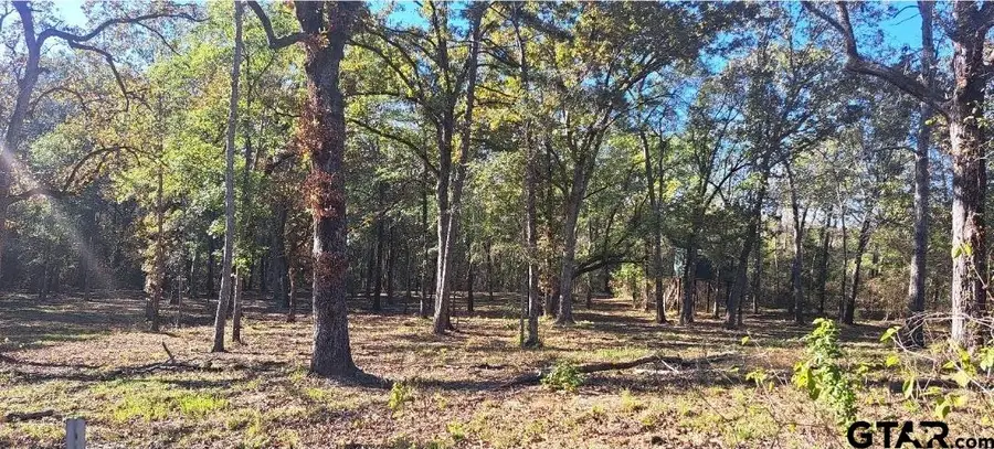 20528 CR 4147, Lindale, TX 75771 - #2