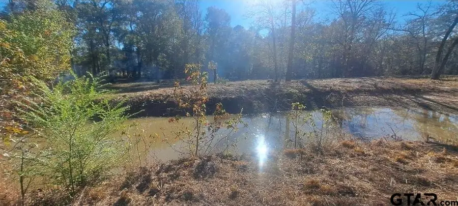 20528 CR 4147, Lindale, TX 75771 - #3
