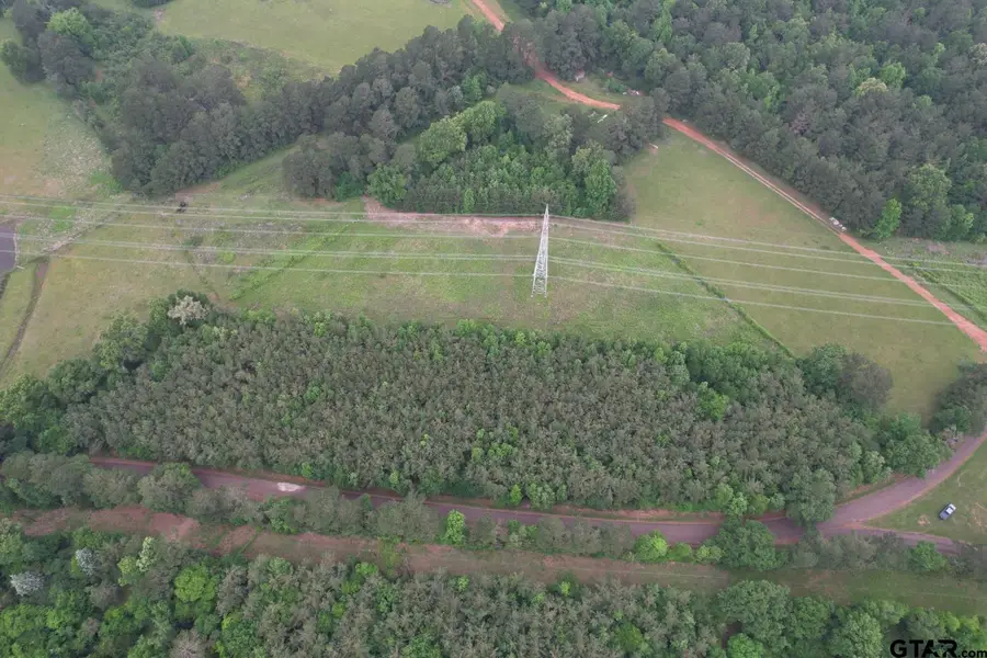 TBD County Road 3163, Laneville, TX 75667 - #2