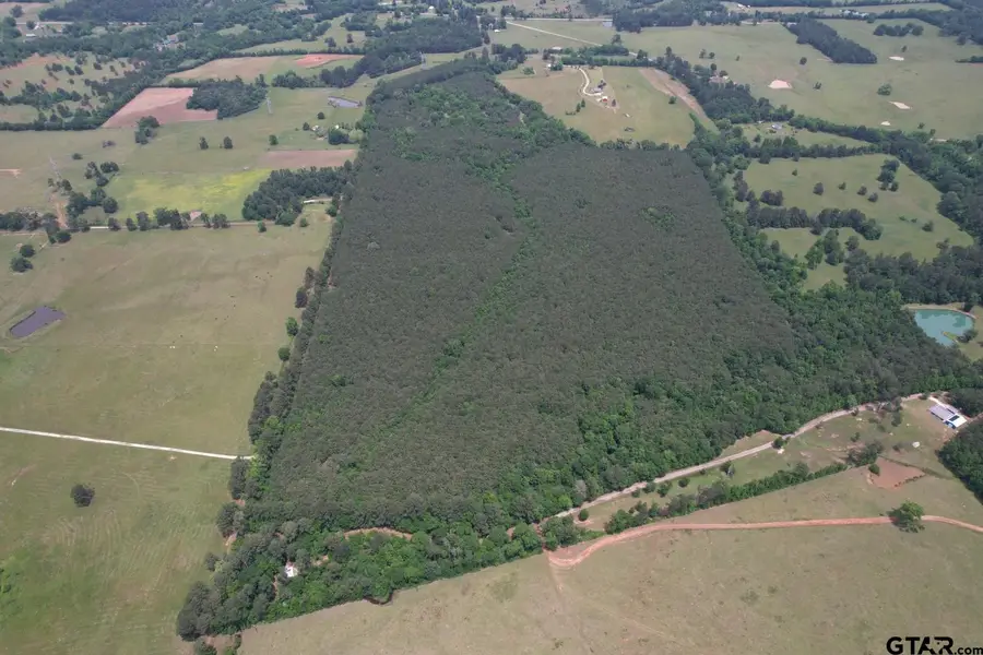 TBD County Road 3163, Laneville, TX 75667 - #3