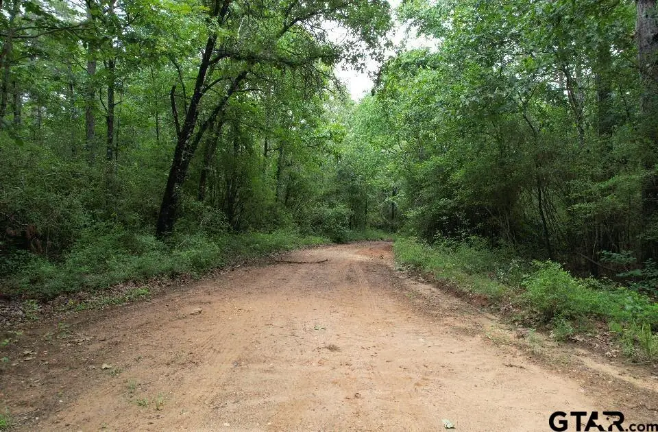 TBD County Road 4679, Tenaha, TX 75974 - #1